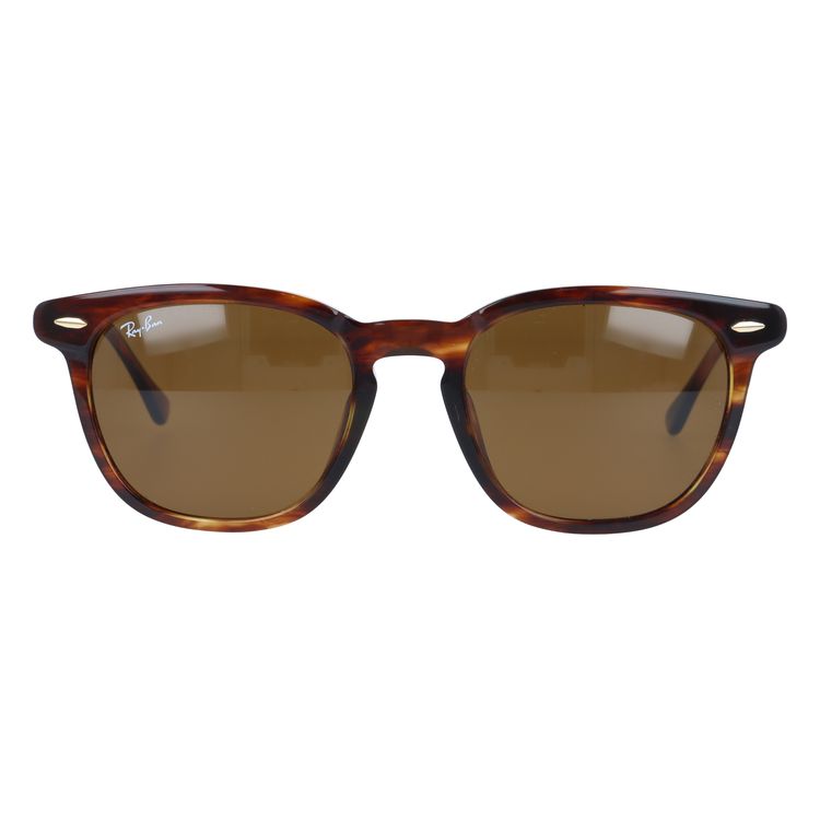 レイバン サングラス ホークアイ レギュラーフィット Ray-Ban HAWKEYE RB2298F 954/33 54サイズ ウェリントン ユニセックス メンズ レディース