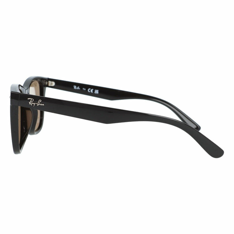 レイバン サングラス アジアンフィット Ray-Ban RB4391D 601/93 65サイズ スクエア型 大きめサイズ ビッグシルエット ユニセックス メンズ レディース