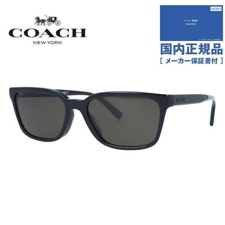 【国内正規品】コーチ サングラス COACH HC8328U 520382 57サイズ ウェリントン ユニセックス メンズ レディース