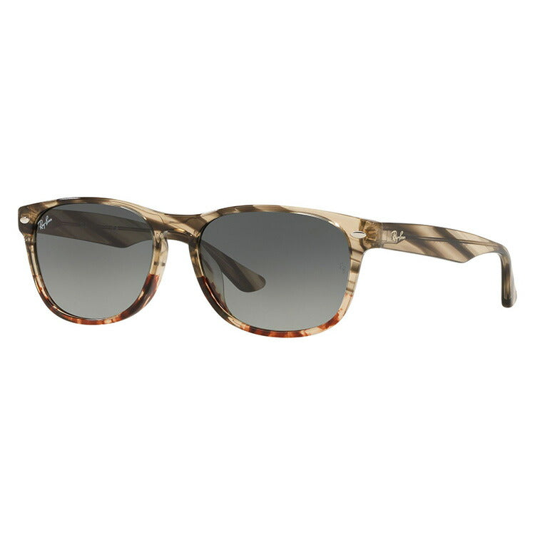 LEONARD Sunglasses in Black and G-15 Green - RB2193F | Ray-Ban®